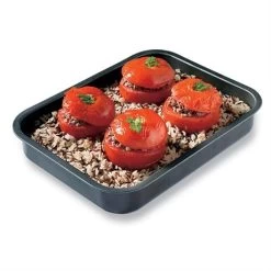 Mini Plat à Four Anti-adhérent 24,5 Cm