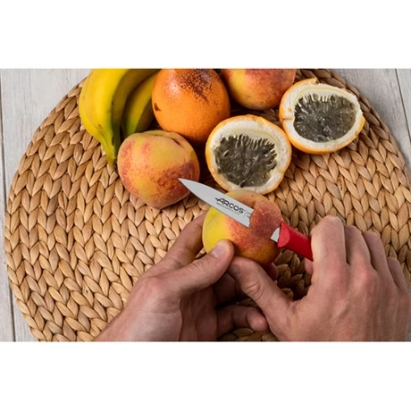 Set 3 Couteaux D'office Nova Coloris Rouge 7 Set 3 Couteaux D'office Nova Coloris Rouge – Image 5