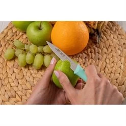 Set 3 Couteaux D'office 8,5 Cm Coloris Pastel -Fine Kitchenware 419014 2 2 Set 3 couteaux d office 8 5 cm coloris pastel Arcos