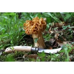 Opinel Couteau à Champignons Pliant N°8 Lame Inox 8 Cm -Fine Kitchenware 471156 2 3 Couteau a champignons pliant N 8 lame inox 8 cm Opinel