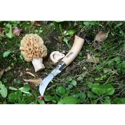 Opinel Couteau à Champignons Pliant N°8 Lame Inox 8 Cm -Fine Kitchenware 471156 3 3 Couteau a champignons pliant N 8 lame inox 8 cm Opinel