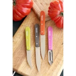 Opinel Coffret 4 Couteaux Essentiels Fifties -Fine Kitchenware 471164 1 3 Coffret 4 couteaux Essentiels Fifties Opinel