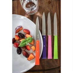 Opinel Coffret 4 Couteaux De Table Pop -Fine Kitchenware 471245 3 3 Coffret 4 couteaux de table Pop Opinel