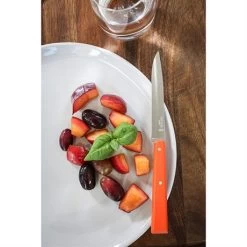 Opinel Coffret 4 Couteaux De Table Pop -Fine Kitchenware 471245 4 3 Coffret 4 couteaux de table Pop Opinel