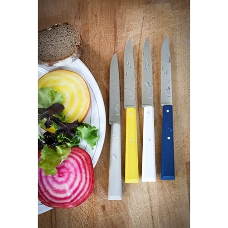 Opinel Coffret 4 Couteaux De Table Céleste 6 Opinel Coffret 4 Couteaux De Table Céleste – Image 4